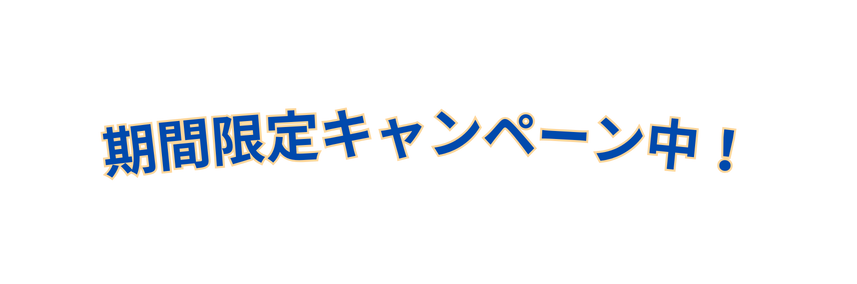 期間限定キャンペーン中